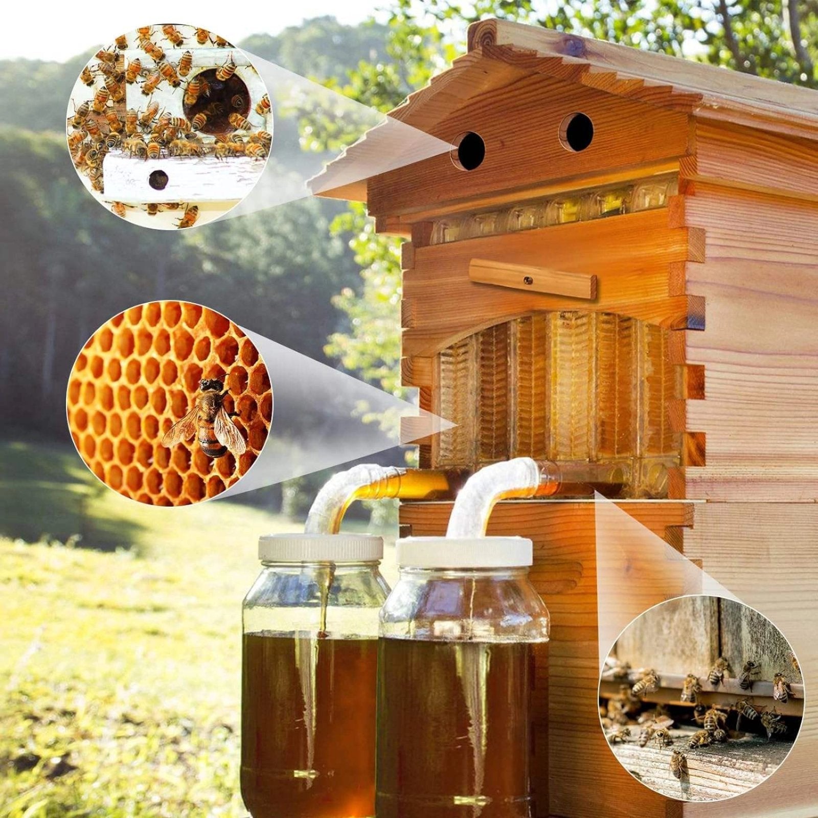 ApiaryPro Flow Hive for backyard and urban beekeeping - Automatic honey harvesting