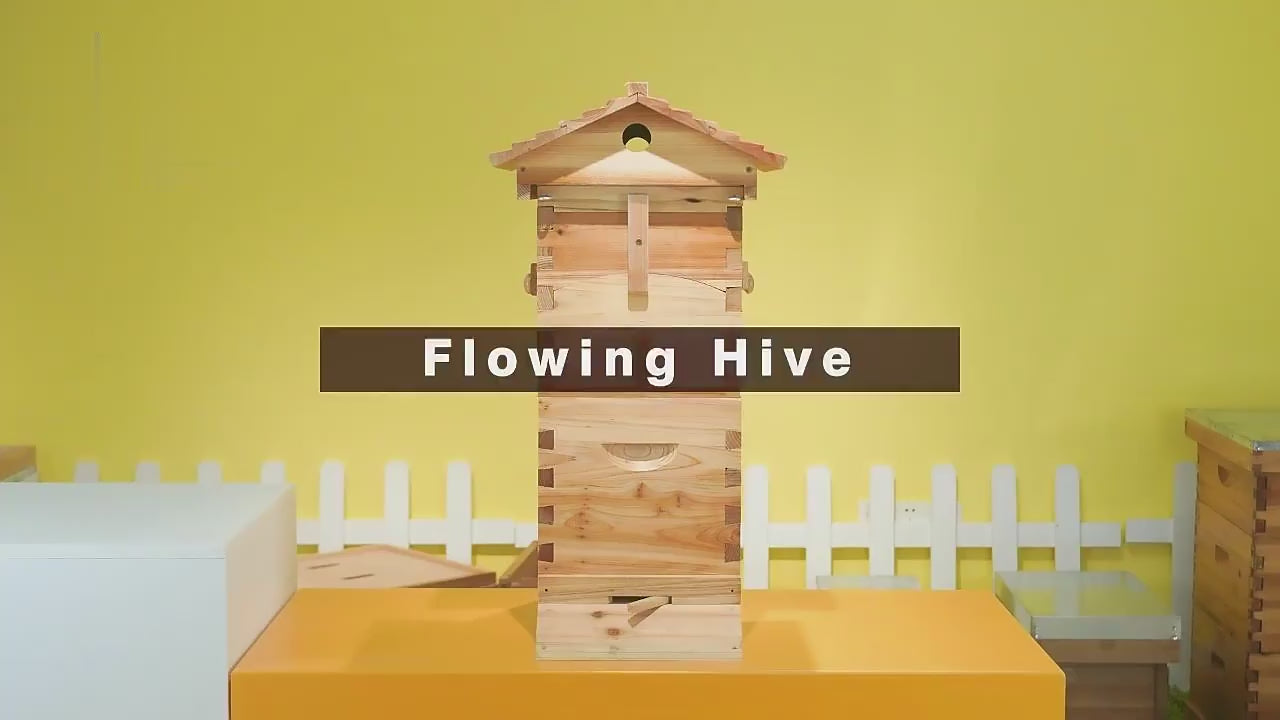 ApiaryPro Small Automatic Flow Bee Hive with Honey Spout – 6 Frame Cedar Beekeeping Starter Kit for Beginners & Backyard Use